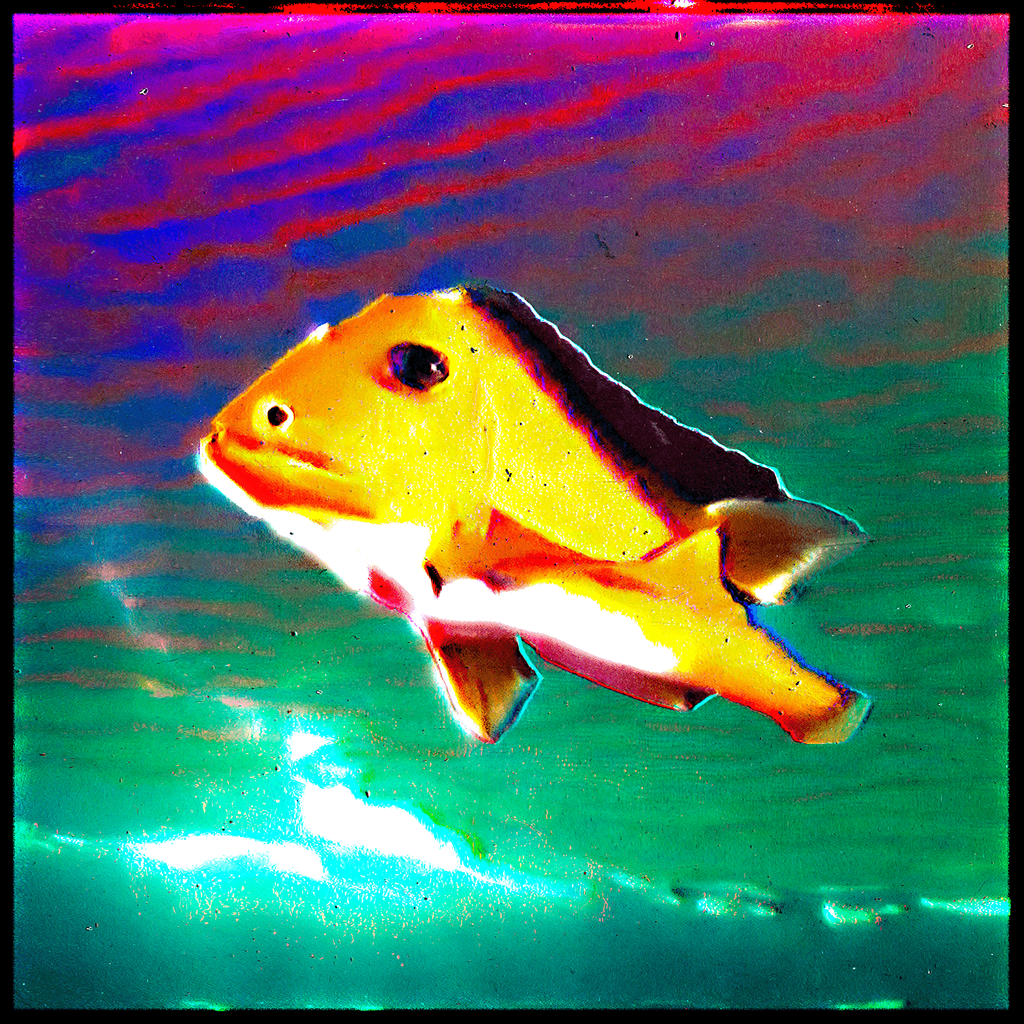 Featured Exhibition Image